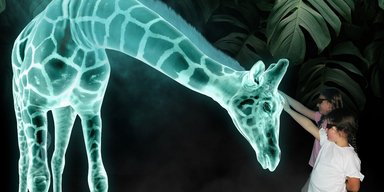 Від 3D-планшета до робота-помічника: ТОП 10 винаходів 2023 року зі списку TIME (відео)