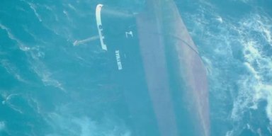 Усе живе в Червоному морі перебуває під загрозою: вода в ньому може стати токсичною