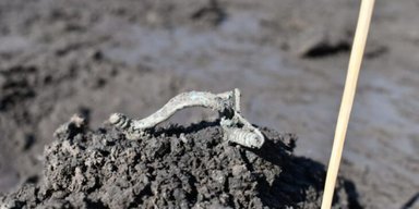 Одно из крупнейших: в недавно обнаруженном поселении кельтов нашли более 13 000 артефактов (фото)