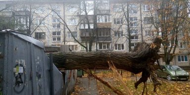 Погода розлютилася: у Києві падають дерева, є загиблі, служби в посиленому режимі (відео, фото)