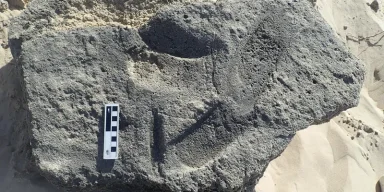 Древние следы ног свидетельствуют, что люди могли носить обувь 148 000 лет назад: что нашли ученые