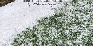 Замість кондиціонера: на Івано-Франківщині пройшов дощ з градом, який повалив дерева (фото)