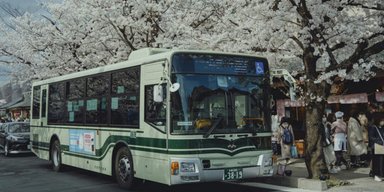 Водитель автобуса лишился многомиллионной пенсии из-за одной купюры