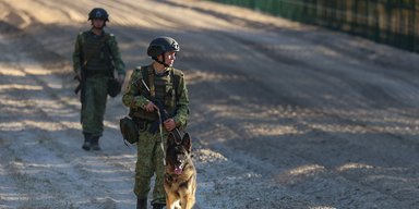 Белорусские пограничники с оружием пересекли границу Литвы: в МИД отреагировали