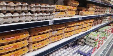 Дорогие и в дефиците: РФ из-за нехватки яиц начинает импорт из Ирана и Турции, — росСМИ