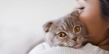Кошки мяукают только на людей: выяснилось, в чем причина такого поведения