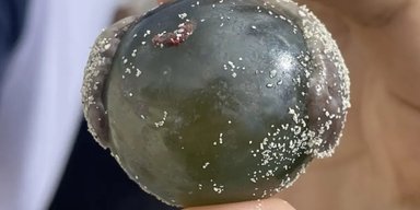 "Очні яблука моряків" вільно плавають у морі: з'явилися зовсім не внаслідок травм