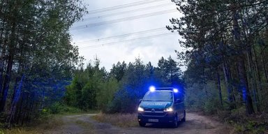 В Германии нашли уже 21 взрывное устройство у линий электропередач: кто взял ответственность