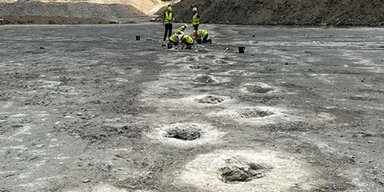 "Дорога динозавров": ученые нашли странные следы возрастом более 160 миллионов лет (фото)