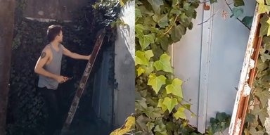 Потайная дверь в саду привела к тайне, которую скрывали десятилетиями