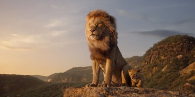 Круговорот жизни. Стоит ли смотреть фильм "Король Лев"