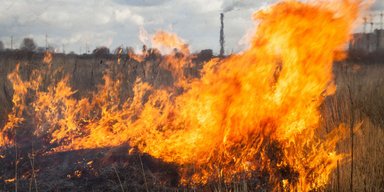Дымит до самой Арктики. Сезонные пожары в Украине становятся проблемой для планеты