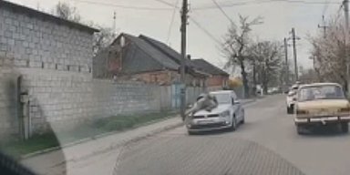 Провез на капоте авто: в Кропивницком водитель сбил военного ТЦК во время проверки (видео)
