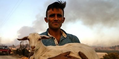 Пожары в Турции: сгорели целые села, жители спасают коров и черепах (фото, видео)