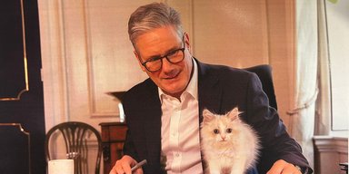 Gigil: в Оксфордский словарь добавили специальное слово для обозначения чувства умиления