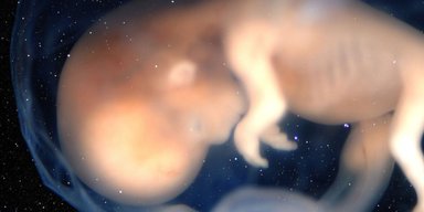 Ученые рассказали, смогут ли люди размножаться в космосе