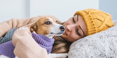 Створені для тих, хто любить обійматись: топ найласкавіших порід собак (фото)