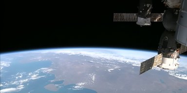 Перший крок до народження дітей у космосі: на МКС уперше виростили ембріони мишей
