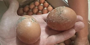 Военный раскритиковал ДОТ за некачественные продукты для армии, — СМИ
