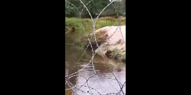 "Help me": украинец бежал в Польшу, а оказался возле Беларуси и насмешил пограничников (видео)