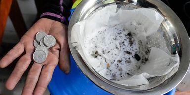 На известном курорте платят деньги за пойманных комаров: сколько можно заработать (фото)