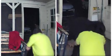 Ведмідь напав на собаку, та господар голіруч кинувся на порятунок улюбленця (відео)
