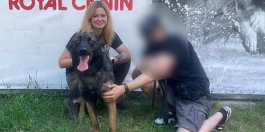 Потерялась в лесу: на Киевщине спасли овчарку бойца Французского легиона (видео)
