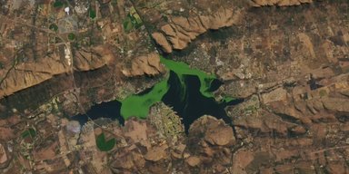 Токсична зелена маса захоплює водосховище у Південній Африці: її видно навіть із космосу