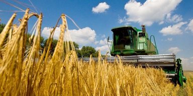 Захищають свої інтереси: Польща заговорила про нові обмеження для українських аграріїв