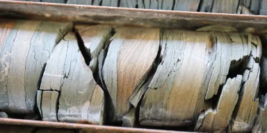 Мікроскопічні скам'янілості ховалися на видноті: древні еукаріоти здивували вчених (фото)