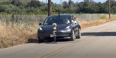 Автопілот Tesla сплутав плюшевого ведмедя з водієм і збив пішохода (відео)