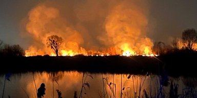 У Києві сталася пожежа на Осокорках: загорілися три гектари трави й очерету (фото, відео)