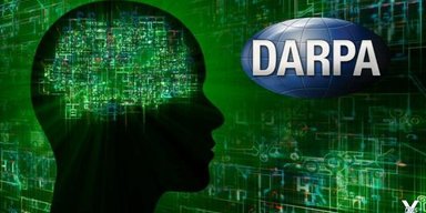 Будущие войны будут выигрывать синтетические механизмы, способные жить вечно