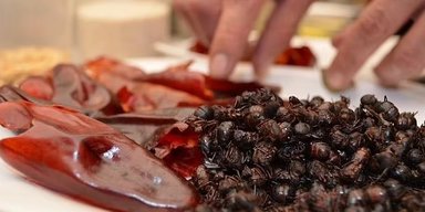 Із легким присмаком сечі. Учені пропонують новий інгредієнт із екзотичним новим смаком