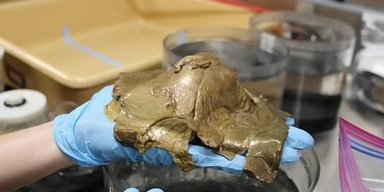 На дні океану знайдено дивне "золоте яйце": вчені два роки намагаються розгадати, що це