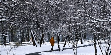 Украинские регионы накрыло первым снегом: где уже наступила зима (фото, видео)
