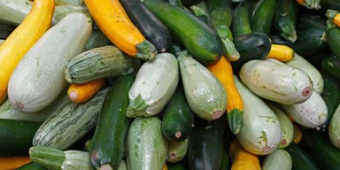Цуккини и кабачки: чем они отличаются и что из них готовить