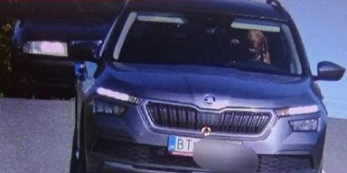 Плохой мальчик: в Словакии собака за рулем кроссовера Skoda превысила скорость (фото)