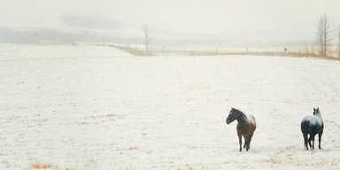 Бессарабия зимой. Музей памятников СССР и другие достопримечательности этнодеревни Фрумушика