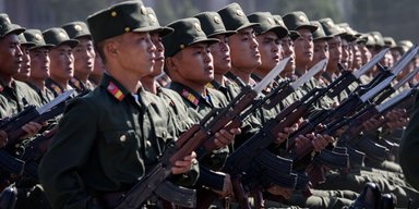 Стимул для войск НАТО: чем Запад может ответить Путину на вовлечение КНДР в войну