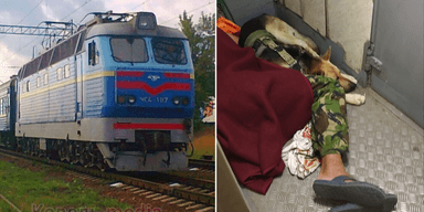 Військовий спав із собакою у тамбурі: в "Укрзалізниці" заявили, що йому так "комфортніше"