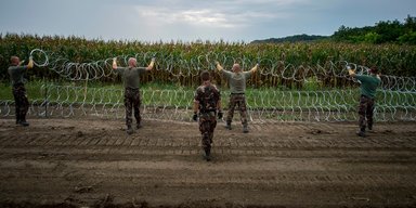 Игры враждебные. Какие государства на границе с Украиной бряцают оружием