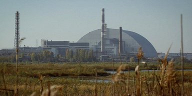 Черные "лягушки-мутанты" из Чернобыля дают надежду на возвращение людей в зону отчуждения