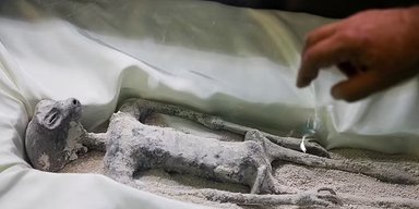 Спроба №2. У Конгресі Мексики показали трупи "інопланетян": нові докази (фото)