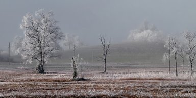В Україні вже очікуються перші заморозки: синоптикиня попередила, коли це станеться