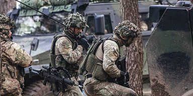 Мы готовы, но Киев не просил: премьер-министр Литвы об отправке военных в Украину