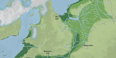 Археологи знайшли загублений світ під Північним морем: нові відкриття у затонулому лісі