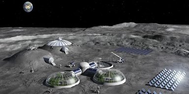 Ці живі істоти допоможуть побудувати і підтримувати в цілості міста на Місяці: що відомо