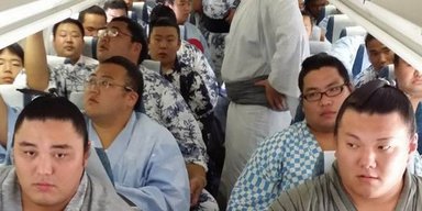 Самолет Japan Airlines не смог подняться в небо из-за борцов сумо на борту: как решили проблему