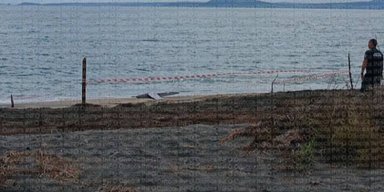 У Болгарії виявили уламки дрона невідомого походження: яка реакція людей, — медіа (фото, відео)